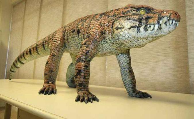 Fóssil do Caipirasuchus mineirus revela que o animal tinha um esqueleto articulado e possuía hábitos terrestres(foto: Luís Adolfo/UFTM/direitos reservados) Fóssil do Caipirasuchus mineirus revela que o animal tinha um esqueleto articulado e possuía hábitos terrestres(foto: Luís Adolfo/UFTM/direitos reservados)