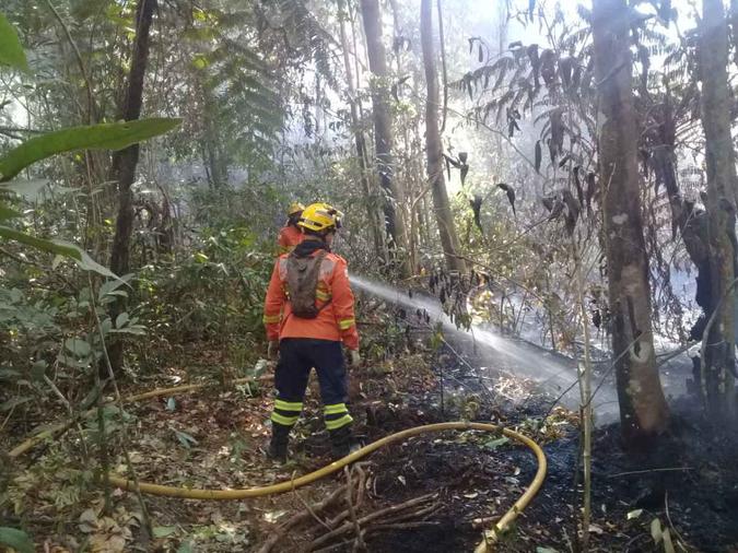 Militares combatem o fogo na mata do parque em Águas Claras(foto: Corpo de Bombeiros/Divulgação) Militares combatem o fogo na mata do parque em Águas Claras(foto: Corpo de Bombeiros/Divulgação)