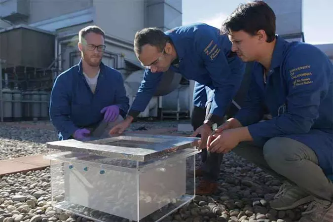 O sistema, que funciona em uma caixa de vidro, foi testado no Deserto do Arizona, onde a umidade chega a 8% (foto: Stephen McNally/Divulgação ) O sistema, que funciona em uma caixa de vidro, foi testado no Deserto do Arizona, onde a umidade chega a 8% (foto: Stephen McNally/Divulgação )