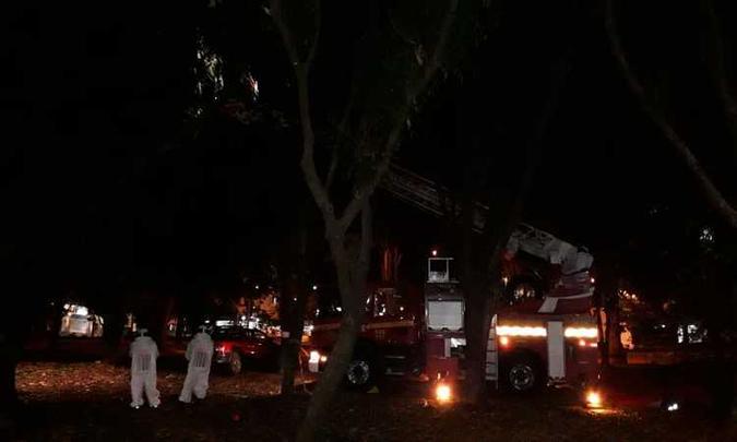 As abelhas estavam no alto de uma mangueira e atacavam pessoas que passavam pelo local ou colhiam mangas nas árvores(foto: CBMDF/Divulgação) As abelhas estavam no alto de uma mangueira e atacavam pessoas que passavam pelo local ou colhiam mangas nas árvores(foto: CBMDF/Divulgação)
