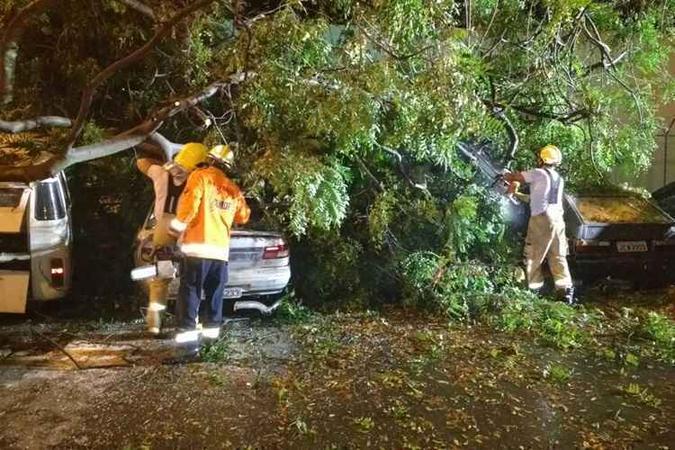 Árvore cai em cima de cinco carros no Cruzeiro (foto: Corpo de Bombeiros/Divulgação) Árvore cai em cima de cinco carros no Cruzeiro (foto: Corpo de Bombeiros/Divulgação)