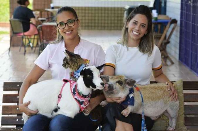 Perfumados e penteados, Ivete e Donatelo esperam a tutora, no petshop, no colo de Aline e Mariah: Perfumados e penteados, Ivete e Donatelo esperam a tutora, no petshop, no colo de Aline e Mariah: