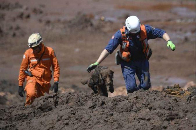 Os trabalhos dos bombeiros, militares, voluntários e cães farejadores foram retomados na manhã deste sábado(foto: AFP / Mauro Pimentel) Os trabalhos dos bombeiros, militares, voluntários e cães farejadores foram retomados na manhã deste sábado(foto: AFP / Mauro Pimentel)