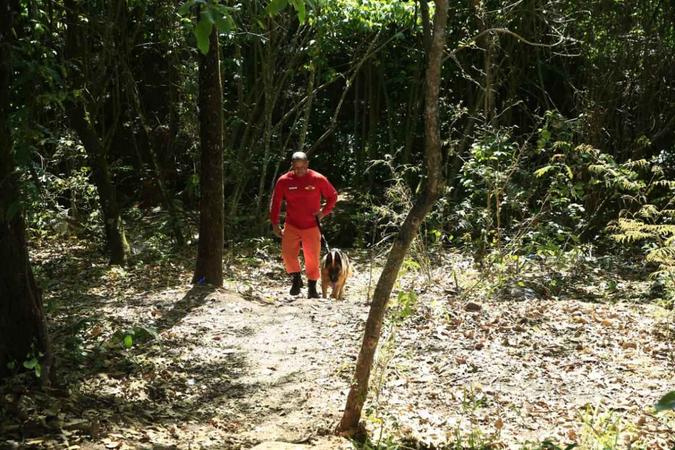 Cães farejadores ajudaram na busca(foto: Divulgação/CBMDF) Cães farejadores ajudaram na busca(foto: Divulgação/CBMDF)