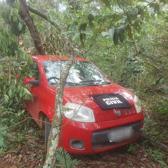 Carro de Fernanda foi utilizado e escondido pelo ex(foto: Divulgação/Polícia Civil de Goiás)