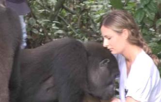 (foto: The Aspinall Foundation/YouTube) (foto: The Aspinall Foundation/YouTube)