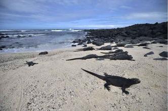 (foto: AFP PHOTO/RODRIGO BUENDIA ) (foto: AFP PHOTO/RODRIGO BUENDIA )