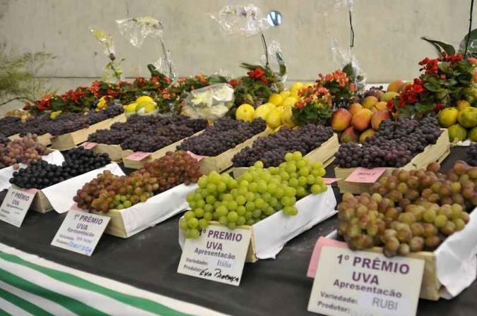 (foto: Prefeitura Municipal de Jundiaí/Divulgação) (foto: Prefeitura Municipal de Jundiaí/Divulgação)