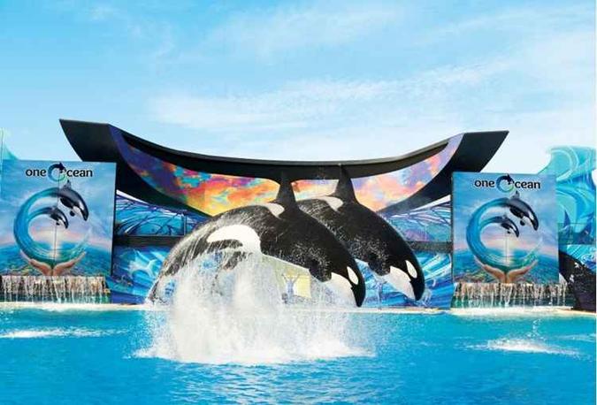 (foto: SeaWorld/Divulgação) (foto: SeaWorld/Divulgação)