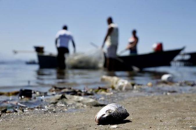 Baía de Guanabara, Rio de Janeiro (foto: Tânia Rêgo/Agência Brasil) Baía de Guanabara, Rio de Janeiro (foto: Tânia Rêgo/Agência Brasil)