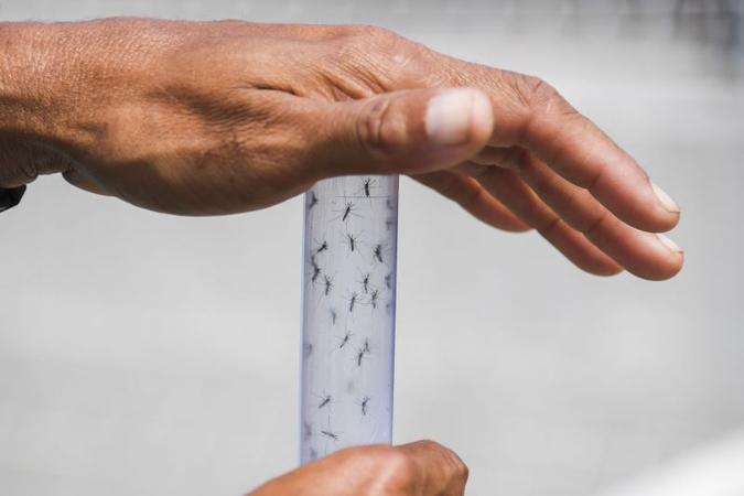 Com temperaturas altas, dengue está devastando o sudeste da Ásia neste ano(foto: Apu Gomes/AFP) Com temperaturas altas, dengue está devastando o sudeste da Ásia neste ano(foto: Apu Gomes/AFP)
