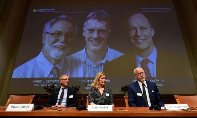Cientistas laureados pelo Instituto Karolinska desenvolvem pesquisas nessa área desde a década de 1990: trio dividirá US$ 910 mil(foto: AFP / Jonathan NACKSTRAND) Cientistas laureados pelo Instituto Karolinska desenvolvem pesquisas nessa área desde a década de 1990: trio dividirá US$ 910 mil(foto: AFP / Jonathan NACKSTRAND)