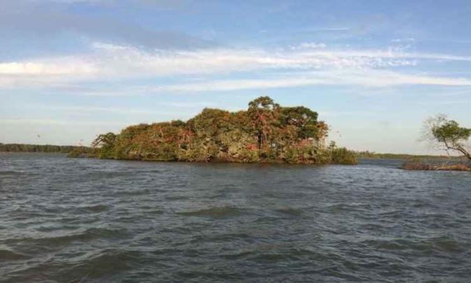 O Delta do Parnaíba marca a divisa entre o Maranhão e o Piauí(foto: Walder Galvao/Esp. CB/D.A Press) O Delta do Parnaíba marca a divisa entre o Maranhão e o Piauí(foto: Walder Galvao/Esp. CB/D.A Press)