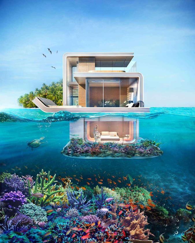 (foto: Thefloatingseahorse/Divulgação) (foto: Thefloatingseahorse/Divulgação)
