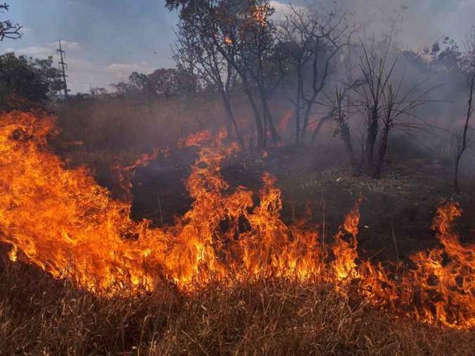 Incêndio no cerrado nas proximidades da UnB: perigo maior na seca(foto: CBMDF/Divulgação) Incêndio no cerrado nas proximidades da UnB: perigo maior na seca(foto: CBMDF/Divulgação)