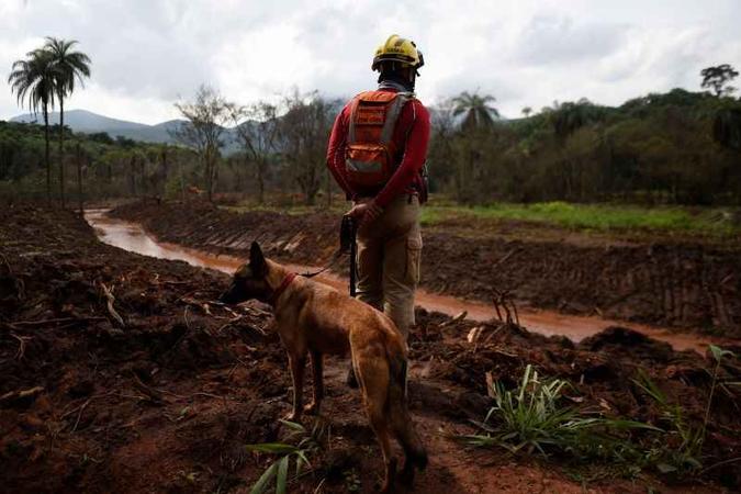 Equipes já localizaram 259 mortos(foto: DOUGLAS MAGNO/AFP) Equipes já localizaram 259 mortos(foto: DOUGLAS MAGNO/AFP)