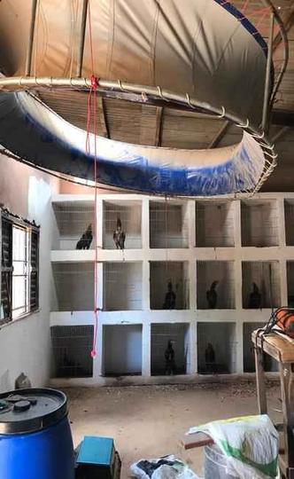 No local onde os galos ficavam, havia um tambor, que funcionava com uma espécie de ringue para treinamentos dos animais(foto: PCDF/Divulgação) No local onde os galos ficavam, havia um tambor, que funcionava com uma espécie de ringue para treinamentos dos animais(foto: PCDF/Divulgação)