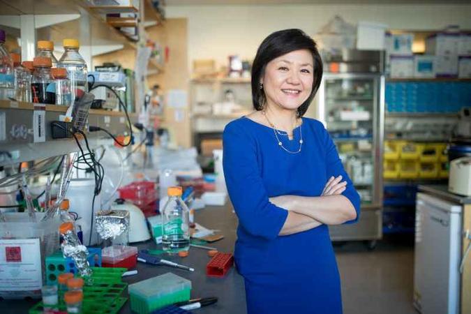 Segundo a pesquisadora Li-Huei Tsai, a edição genética poderá reduzir a vulnerabilidade à doença neurodegenerativa(foto: Bryce Vickmark/Divulgação) Segundo a pesquisadora Li-Huei Tsai, a edição genética poderá reduzir a vulnerabilidade à doença neurodegenerativa(foto: Bryce Vickmark/Divulgação)