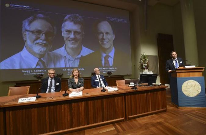 Americanos William Kaelin e Gregg Semenza e a britânico Peter Ratcliffe são os vencedores do Nobel da Paz de Medicina(foto: Jonathan Nackstrand/AFP) Americanos William Kaelin e Gregg Semenza e a britânico Peter Ratcliffe são os vencedores do Nobel da Paz de Medicina(foto: Jonathan Nackstrand/AFP)