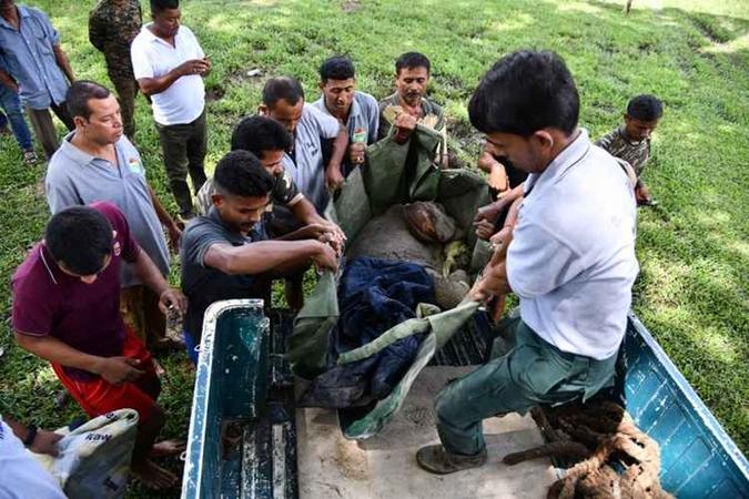 Funcionários do Parque Nacional carregando o filhote de rinoceronte de apenas dois meses (foto: Biju Boro/AFP) Funcionários do Parque Nacional carregando o filhote de rinoceronte de apenas dois meses (foto: Biju Boro/AFP)