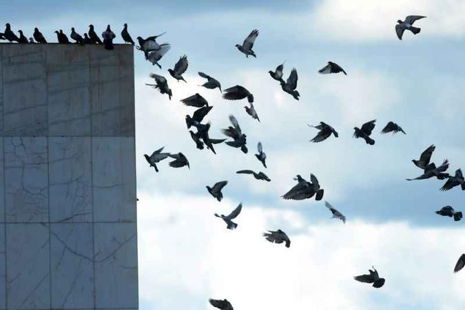 (foto: Luis Nova/Esp. CB/D.A Press)