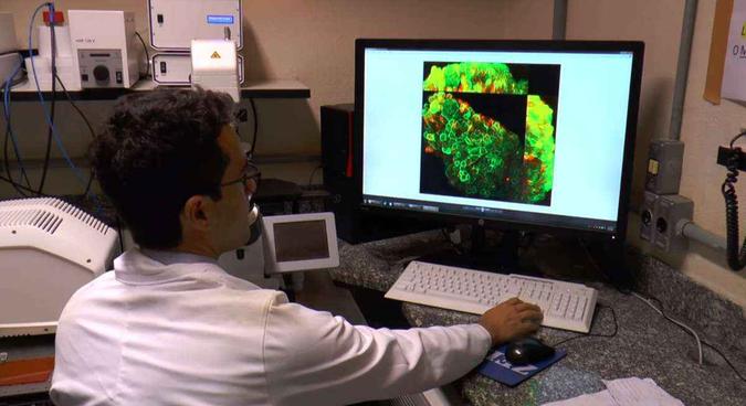 Pesquisadores utilizaram diferentes técnicas de bioengenharia com impressão 3D(foto: Divulgação/Agência Fapesp) Pesquisadores utilizaram diferentes técnicas de bioengenharia com impressão 3D(foto: Divulgação/Agência Fapesp)