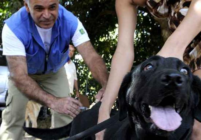 Vacinação de animais é uma das alternativas para diminuir a transmissão da doença(foto: Carlos Vieira/CB/D.A Press) Vacinação de animais é uma das alternativas para diminuir a transmissão da doença(foto: Carlos Vieira/CB/D.A Press)