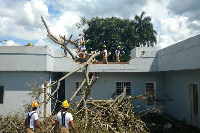 Árvore caiu em cima de uma casa na QI 15 do Lago Sul(foto: Corpo de Bombeiros/Divulgação) Árvore caiu em cima de uma casa na QI 15 do Lago Sul(foto: Corpo de Bombeiros/Divulgação)