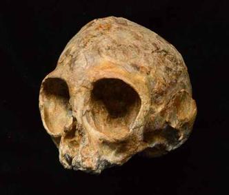 (foto: The Leakey Foundation / Fred Spoor/AFP Photo) (foto: The Leakey Foundation / Fred Spoor/AFP Photo)