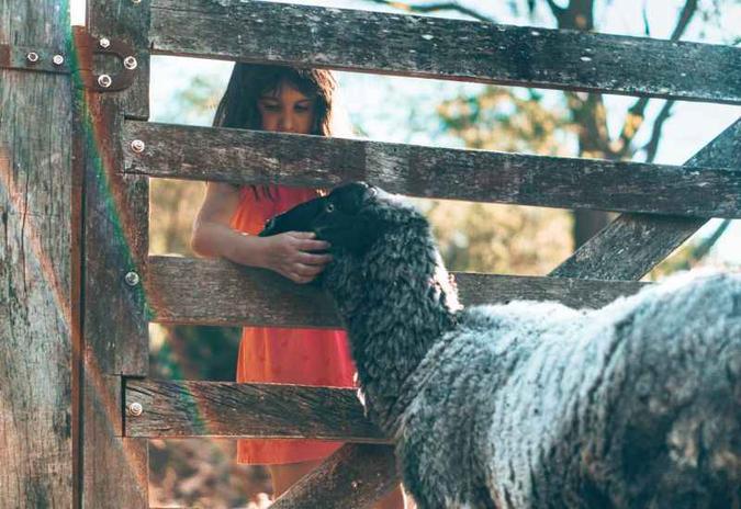 (foto: Vila Velluti/Divulgação) (foto: Vila Velluti/Divulgação)