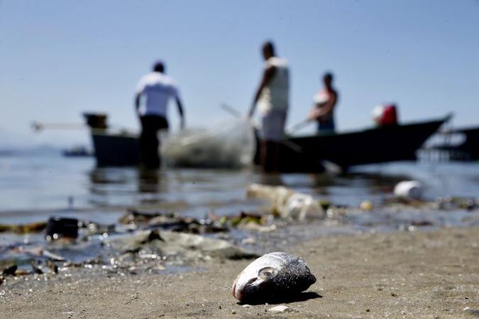 Mesmo poluída, Baía de Guanabara é fonte de renda para milhares de pescadores (foto: Arquivo/Tânia Rêgo/Agência Brasil ) Mesmo poluída, Baía de Guanabara é fonte de renda para milhares de pescadores (foto: Arquivo/Tânia Rêgo/Agência Brasil )