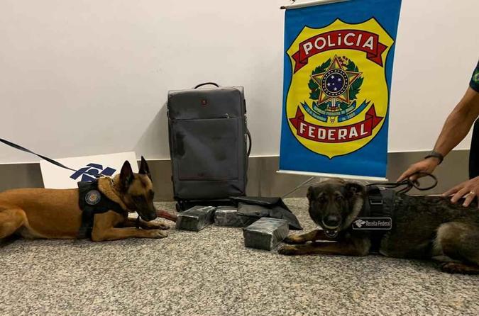 (foto: Divulgação Polícia Federal ) (foto: Divulgação Polícia Federal )