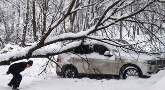 Uma pessoa morreu no domingo e outras ficaram feridas pela queda de árvores sob o peso da neve(foto: Vasily Maximov / AFP) Uma pessoa morreu no domingo e outras ficaram feridas pela queda de árvores sob o peso da neve(foto: Vasily Maximov / AFP)