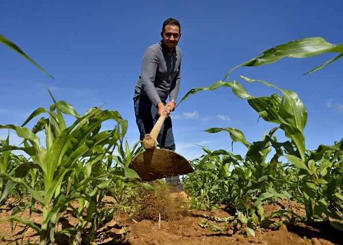 Iago Passos, 25 anos, aguarda liberação de R$ 15 mil, por meio do Prospera, para abrir poço artesiano em sua propriedade de 2,49 hectares (foto: Marcelo Ferreira/CB/D.A Press ) Iago Passos, 25 anos, aguarda liberação de R$ 15 mil, por meio do Prospera, para abrir poço artesiano em sua propriedade de 2,49 hectares (foto: Marcelo Ferreira/CB/D.A Press )