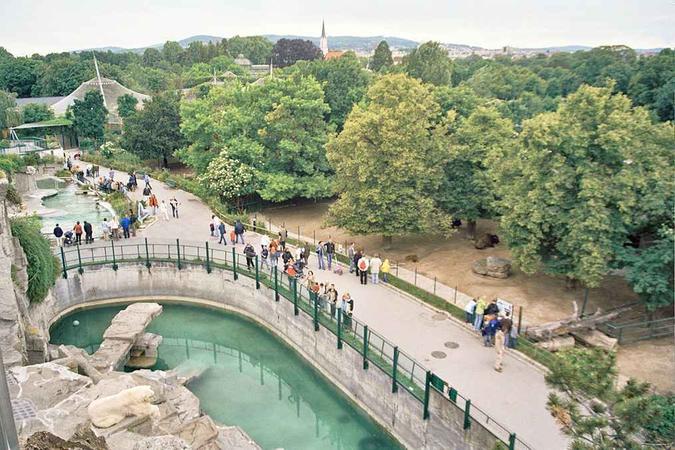 O Tiegarten Schönbrunn, o mais antigo zoológico do mundo, oferece boa estrutura(foto: pxhere/Reprodução) O Tiegarten Schönbrunn, o mais antigo zoológico do mundo, oferece boa estrutura(foto: pxhere/Reprodução)