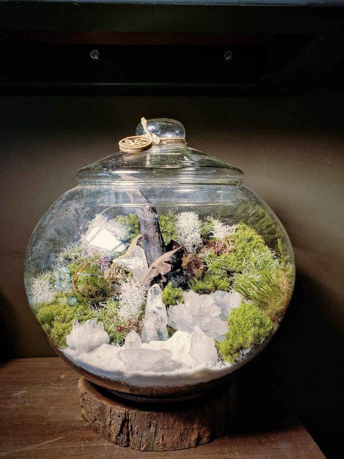(foto: Nano Garden Terrários/Divulgação) (foto: Nano Garden Terrários/Divulgação)