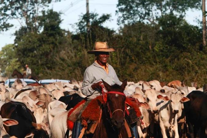 Na época da seca é comum encontrar boiadas indo de um pasto para outroAna Rayssa/Esp. CB/D.A Press Na época da seca é comum encontrar boiadas indo de um pasto para outroAna Rayssa/Esp. CB/D.A Press