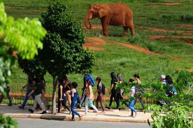 Com 380 recintos, Zoo recebe 2,5 mil pessoas por dia e é monitorado por apenas 12 câmeras. Intenção é colocar 160 novos equipamentos(foto: Luis Nova/Esp. CB/D.A Press) Com 380 recintos, Zoo recebe 2,5 mil pessoas por dia e é monitorado por apenas 12 câmeras. Intenção é colocar 160 novos equipamentos(foto: Luis Nova/Esp. CB/D.A Press)