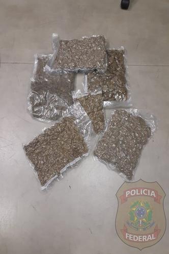 Droga estava em seis pacotes plásticos(foto: Polícia Federal/Divulgação) Droga estava em seis pacotes plásticos(foto: Polícia Federal/Divulgação)