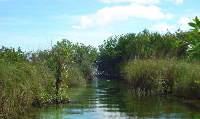 Laguna Muyil, em Sian Ka'an. Nos canais escavados pelos maias, a correnteza é leve(foto: Cristiane Silva/EM/D.A Press) Laguna Muyil, em Sian Ka'an. Nos canais escavados pelos maias, a correnteza é leve(foto: Cristiane Silva/EM/D.A Press)