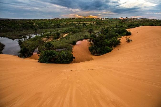 Dunas em Jalap�o - TO(foto: Wikimedia Commons)