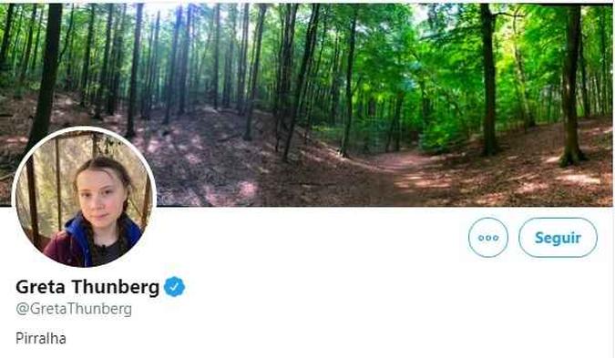 Greta tem mais de 3,1 milhões de seguidores no microblog(foto: Reprodução/Twitter) Greta tem mais de 3,1 milhões de seguidores no microblog(foto: Reprodução/Twitter)