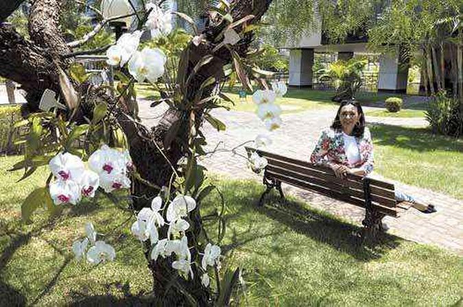 Maria Amélia Aranha no orquidário: Maria Amélia Aranha no orquidário: