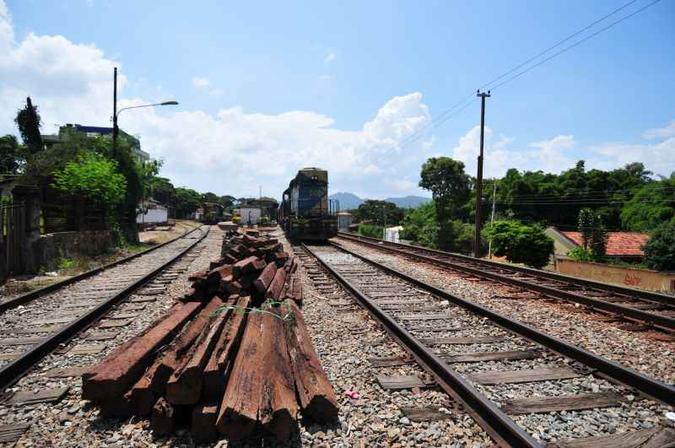 (foto: Alexandre Guzanshe/EM)