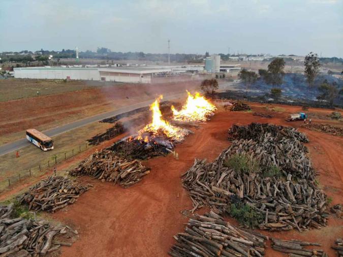 Toras de madeiras pegaram fogo(foto: Arquivo Pessoal) Toras de madeiras pegaram fogo(foto: Arquivo Pessoal)