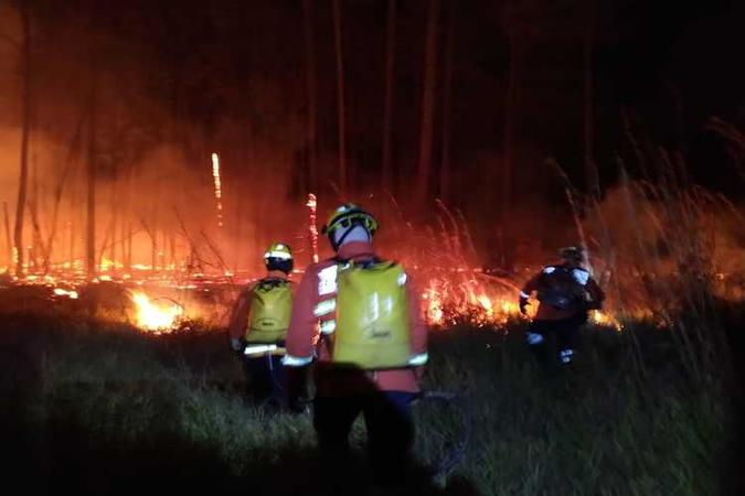 Incêndio consumiu área equivalente a 5 mil campos de futebol(foto: Corpo de Bombeiros/Divulgação) Incêndio consumiu área equivalente a 5 mil campos de futebol(foto: Corpo de Bombeiros/Divulgação)