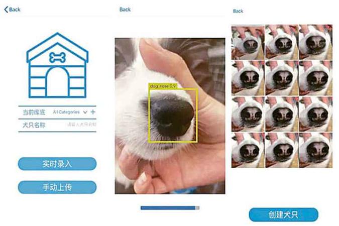 Na China, já foram coletados mais de 15 mil impressões de focinhos de animais pelo aplicativo, com uma taxa de 95% de sucesso (foto: Reprodução/site/Megvii) Na China, já foram coletados mais de 15 mil impressões de focinhos de animais pelo aplicativo, com uma taxa de 95% de sucesso (foto: Reprodução/site/Megvii)