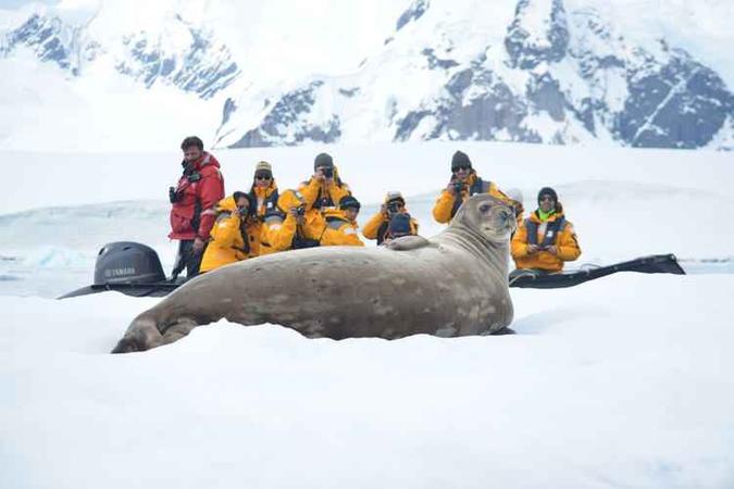 Cientistas e curiosos são a maioria dos visitantes da região(foto: Antarctica Expeditions/ Divulgação) Cientistas e curiosos são a maioria dos visitantes da região(foto: Antarctica Expeditions/ Divulgação)