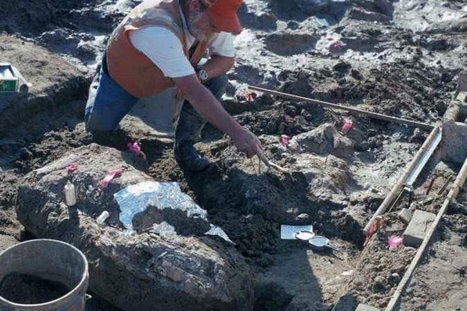 Pesquisador na escavação em sítio arqueológico de San Diego, na Califórnia, onde ossos de mastodontes foram achados: marcas de corte no esqueleto do animal(foto: San Diego Natural History Museum/Divulgação) Pesquisador na escavação em sítio arqueológico de San Diego, na Califórnia, onde ossos de mastodontes foram achados: marcas de corte no esqueleto do animal(foto: San Diego Natural History Museum/Divulgação)
