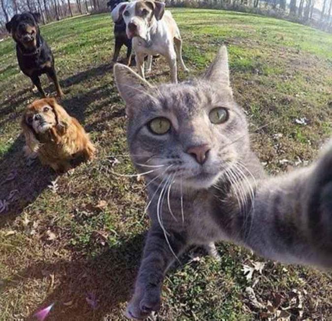 (foto: Facebook/Reprodução) (foto: Facebook/Reprodução)